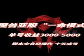 魔兽亚服一命模式搬砖玩法 全自动脚本10天成号收益攻略