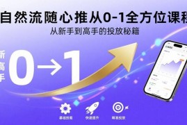 自然流随心推0到1全阶课程 新手到高手投放实操全指南