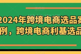 2024年跨境电商利基选品案例 北美高需求类目选品方向指南