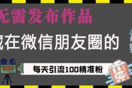 微信视频号免发作品引流实操教程 单日可获100+精准创业粉
