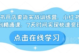 小红书开店运营从入门到精通教程 7天掌握电商变现实战技巧