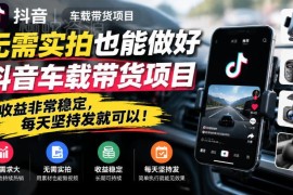 无需实拍也能做抖音车载带货 低门槛稳定收益项目实操解析