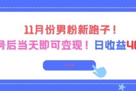 11月男粉运营新玩法 起号当日即可变现单日收益可达400