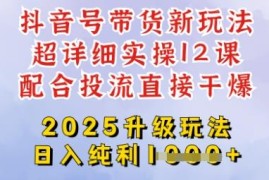 2025全新升级抖音带货玩法 选品剪辑投流全流程实操教程
