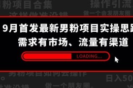 2024年9月首发男粉项目实操思路 需求有稳定市场流量有清晰渠道