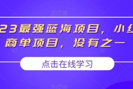 2023小红书商单蓝海项目玩法 低门槛涨粉接广告变现指南