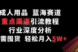 成人用品蓝海赛道运营全攻略 无囤货引流变现方法深度解析