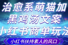 小红书治愈萌猫黑鸡汤商单玩法 3-10天涨千粉变现攻略