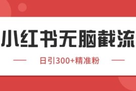小红书截流同行客源实操教程 日引200+精准私域获客玩法解析