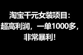 淘宝千元高利润女装项目 从0到1全流程运营教程