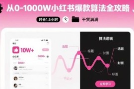 小红书0-1000W流量爆款算法全攻略 1.5小时干货课程分享