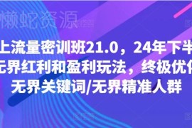 2024下半年无界流量盈利玩法 中小电商卖家流量破局密训课