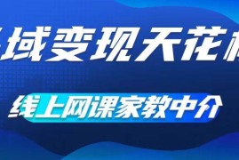 网课家教中介项目实操拆解 0成本做流量渠道实现月入过万