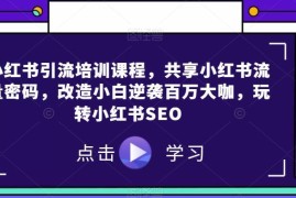 小红书引流与SEO运营培训课程 零基础掌握平台流量获客技巧