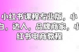 小红书电商运营全阶系统教程 小白达人商家通用实操课程