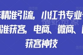 小红书专业号矩阵精准获客教程 电商微商门店引流实操指南