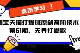 淘宝天猫打爆班第61期高阶教程 万相台无界打爆款全流程实操
