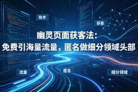 幽灵页面获客法实操教程 零基础零成本引流做细分领域头部