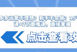 拼多多新手运营入门教程 17节干货课覆盖全链路运营核心技巧