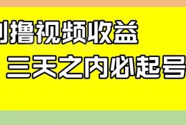 无需写文案的蓝海视频收益项目 3天起号每日收益保底百元