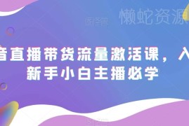 2023抖音直播带货流量激活课 新手小白主播入行必备教程