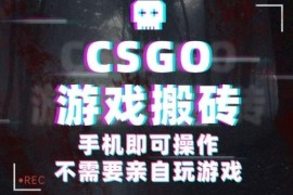 CSGO游戏皮肤捡漏副业教程 手机可操作的低门槛赚钱项目