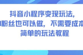 0粉丝零成本抖音小程序变现教程 多平台通用实操玩法详解