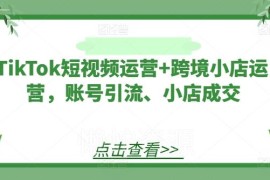 TikTok短视频及跨境小店运营实操全教程 覆盖引流到成交全环节