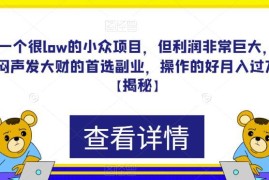 小众低门槛高利润副业项目详解 操作简单做好可月入过万