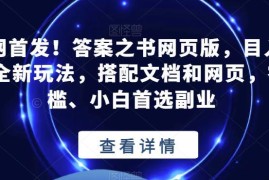 答案之书网页版副业玩法拆解 零门槛小白可做日入可达2K