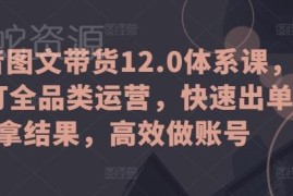 抖音图文带货12.0体系课 全品类运营实操 新手快速起号出单教程