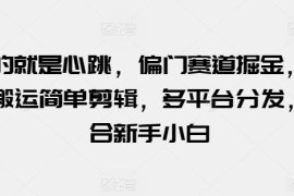 适合新手的极限运动视频搬运剪辑 多平台分发变现方法
