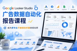 Google Looker Studio广告数据自动化报告课程 广告优化师实操教程