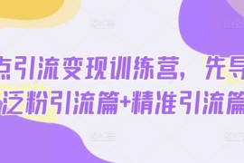 热点引流变现训练营全教程 含先导泛粉精准引流实操内容