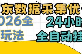 京东数据采集挂机项目详解 低门槛适配全人群的副业操作说明