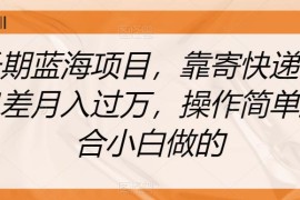 快递代发信息差项目怎么做？适合小白的长期蓝海副业详解