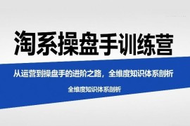 淘系运营进阶操盘手训练营 全维度电商知识体系详解