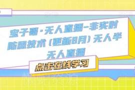 2025年6月更新 宝子哥无人半无人直播非实时防风技术教程