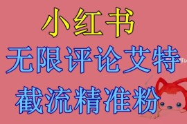 小红书评论艾特截流精准粉实操教程及配套工具分享