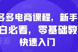 零基础拼多多电商入门课程 新手小白开店运营全流程教学