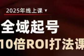 2025全域起号10倍ROI打法课 直播间投资回报率提升教程