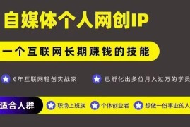 网创类公众号个人IP打造攻略 可长期运营高变现自媒体项目