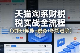 天猫淘系财税全流程实战教程 对账做账税务及职场进阶指南
