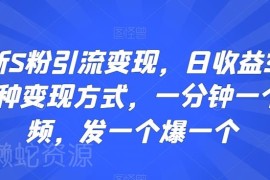 S粉引流变现实操玩法 1分钟制作爆量视频 多模式日赚300+教程