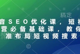 抖音SEO优化基础实操课 短视频运营搜索流量精准布局教程