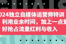 2024独立自媒体运营师特训营 业余学习抢流量红利增副业收入