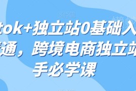 TikTok+独立站0基础从入门到精通 跨境电商新手系统实操课