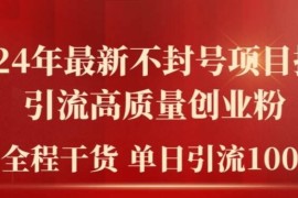 2024不封号项目拆解引流法 抖音快手引创业粉实操干货教程