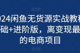 2024闲鱼无货源基础到进阶实战教程 低门槛电商变现项目