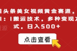 今日头条美女视频赛道1:1搬运技术 多变现路径实操玩法分享